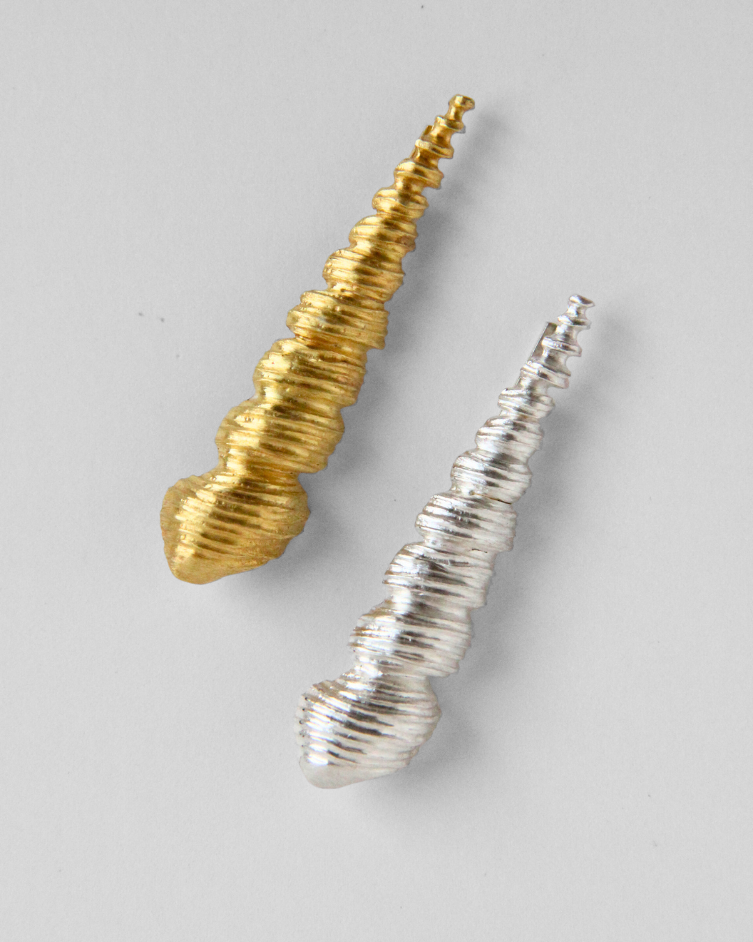 Turritella Terebra